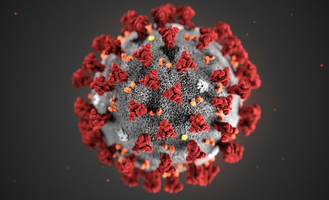 L’Hexagone sous la menace d’une reprise du Covid 19 ? Image 1