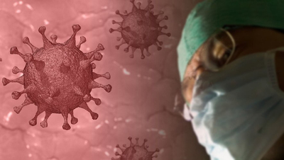 Covid-19 : pourquoi le SARS-CoV-2 est-il plus virulent que l ... Image 1