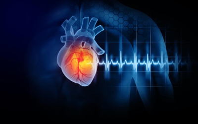 Infarctus : ces 3 protéines pourraient minimiser les dommage ... Image 1
