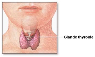 Troubles de la thyroïde : ces signes qui doivent vous alerte ... Image 1