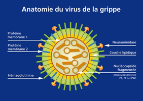 La menace numéro 1 : pourquoi des scientifiques croient que  ... Image 1