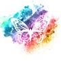 ASSOCIATION LES AILES INVISIBLES Image 1