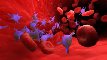 Cancer : les plaquettes sanguines jouent un rôle précoce et  ... Image 1