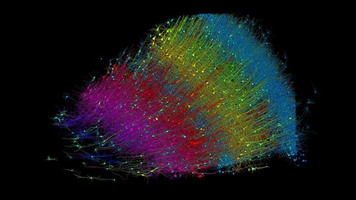 La cartographie 3D à l'échelle nanométrique révèle des infor ... Image 1
