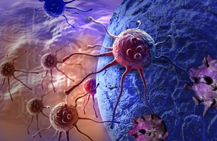 Vaincre la leucémie en ciblant ses cellules souches. Image 1