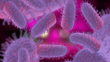 « Alarme virologique» : des dizaines de virus inconnus et po ... Image 1