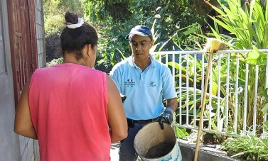 Point sur la situation du chikungunya à La Réunion. Image 1