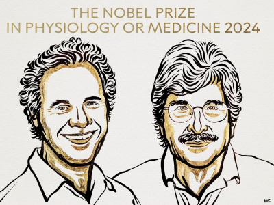 Le prix Nobel de médecine 2024 décerné aux Américains Victor ... Image 1