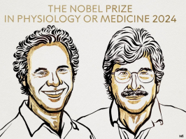 Le prix Nobel de médecine 2024 décerné aux Américains Victor ... Image 1