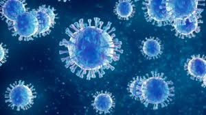 Métapneumovirus humain : faut-il vraiment s’inquiéter de la  ... Image 1