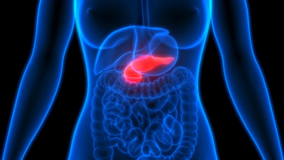 Cancer du pancréas : un médicament utilisé en cardiologie po ... Image 1