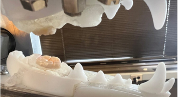 Des chercheurs développent un chewing-gum antiviral pour com ... Image 1