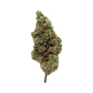CBD et médicaments : attention aux interactions ! Image 1