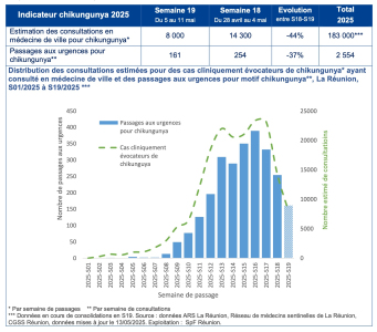 Chikungunya : les indicateurs en nette baisse à La Réunion. Image 1