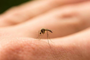 Le virus flambe dans plusieurs pays : et si la prochaine pan ... Image 1