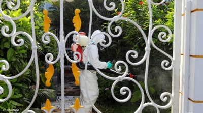 Dengue : La Réunion compte 3416 malades depuis le début de l ... Image 1