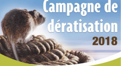 Saint-Denis - Une campagne pour la dératisation Image 1