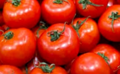 Les tomates toujours dans le rouge Image 1