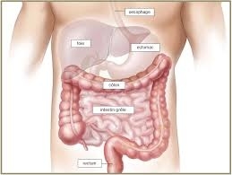 Plus de 200 000 Réunionnais concernés par le cancer colorect ... Image 1