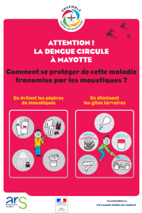 Dengue à Mayotte : le niveau d’alerte du plan arbovirose est ... Image 1