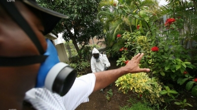 Dengue plus de 2.200 cas confirmés depuis le début de l'anné ... Image 1