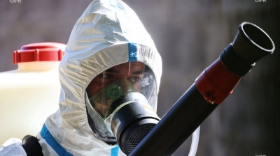 Deux nouveaux décès possiblement liés à la dengue, 8.500 cas ... Image 1