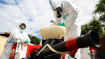 Dengue : 60 cas hebdomadaires ces deux dernières semaines. Image 1