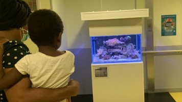 CHU un aquarium est installé dans les services pédiatriques  ... Image 1